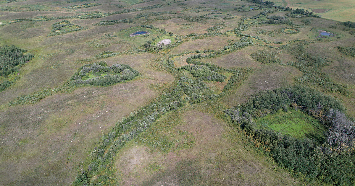 SK TouchwoodBeaver Landscape Aug 26, 2023.JPG